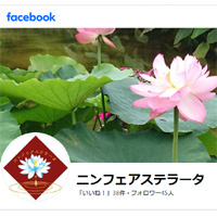 フェイスブック